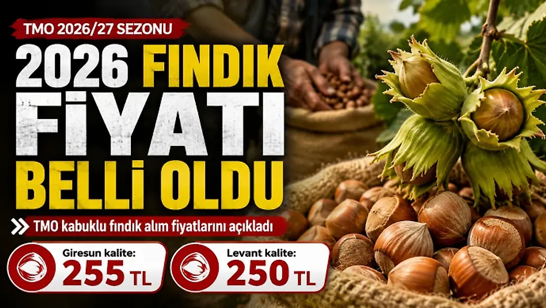2026 Fındık Fiyatı Belli Oldu