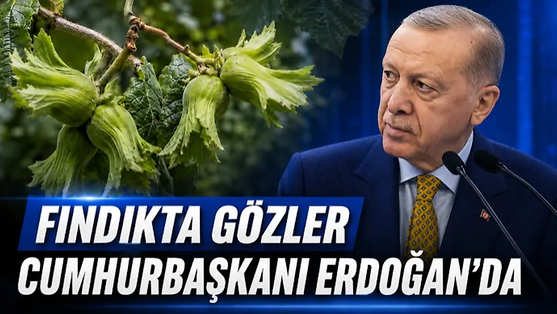 Fındıkta Gözler Cumhurbaşkanı Erdoğan’da
