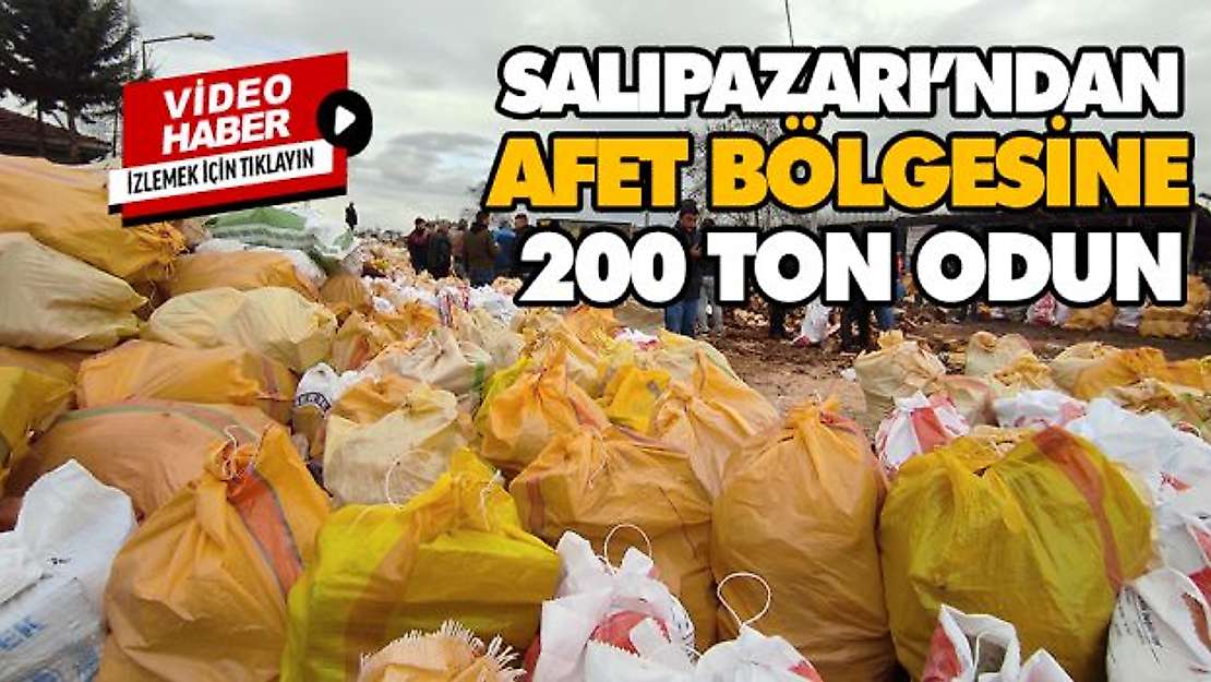 Salıpazarı'ndan Afet Bölgesine 200 Ton Odun