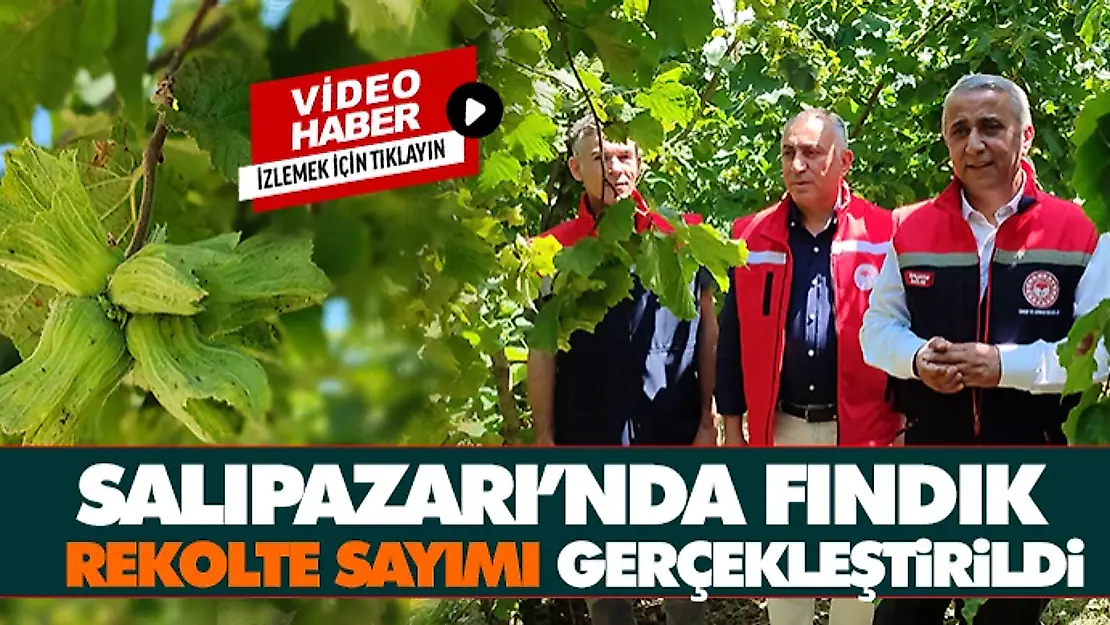 Salıpazarı'nda Fındık Rekolte Sayımı Gerçekleştirildi