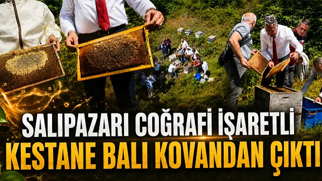 Coğrafi İşaretli Kestane Balı Kovandan Çıktı