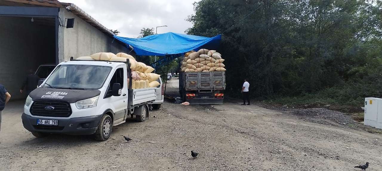 Salıpazarı Üreticisi TMO'ya Yöneldi: Günde 100 Ton Alım