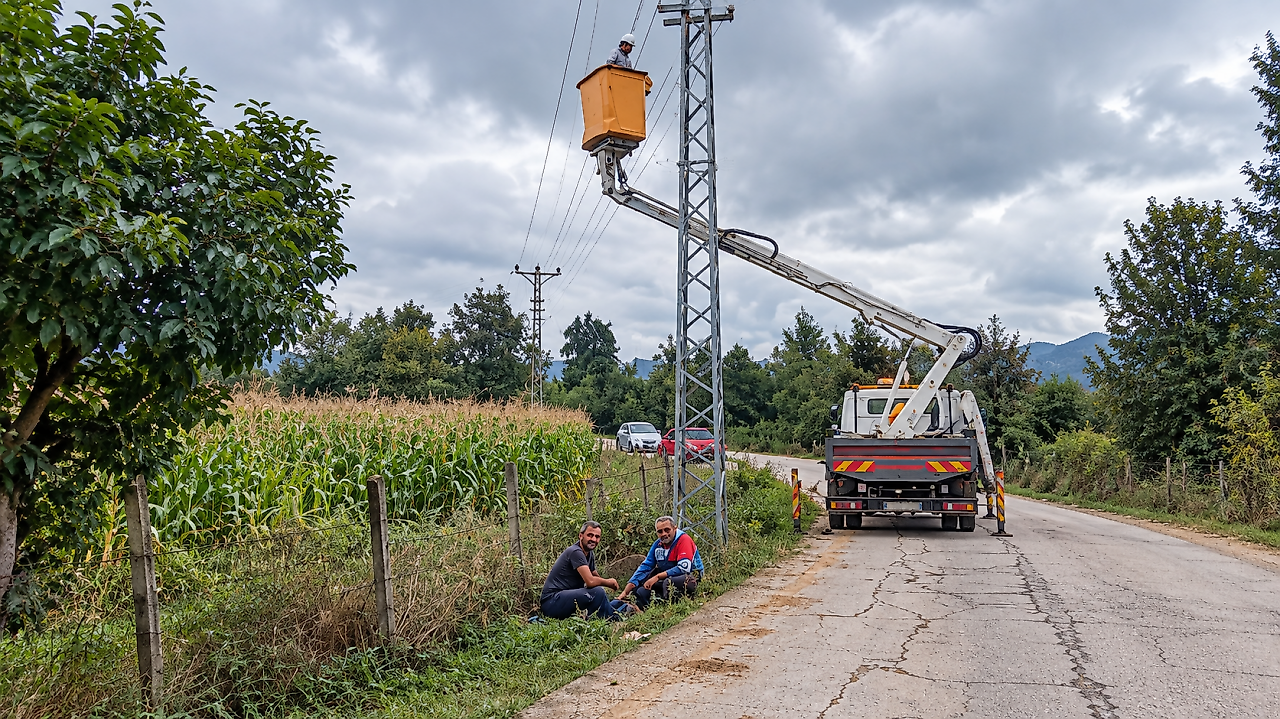 Araç Direğe Çarptı, Elektrik Akımına Kapılan İnek Telef Oldu