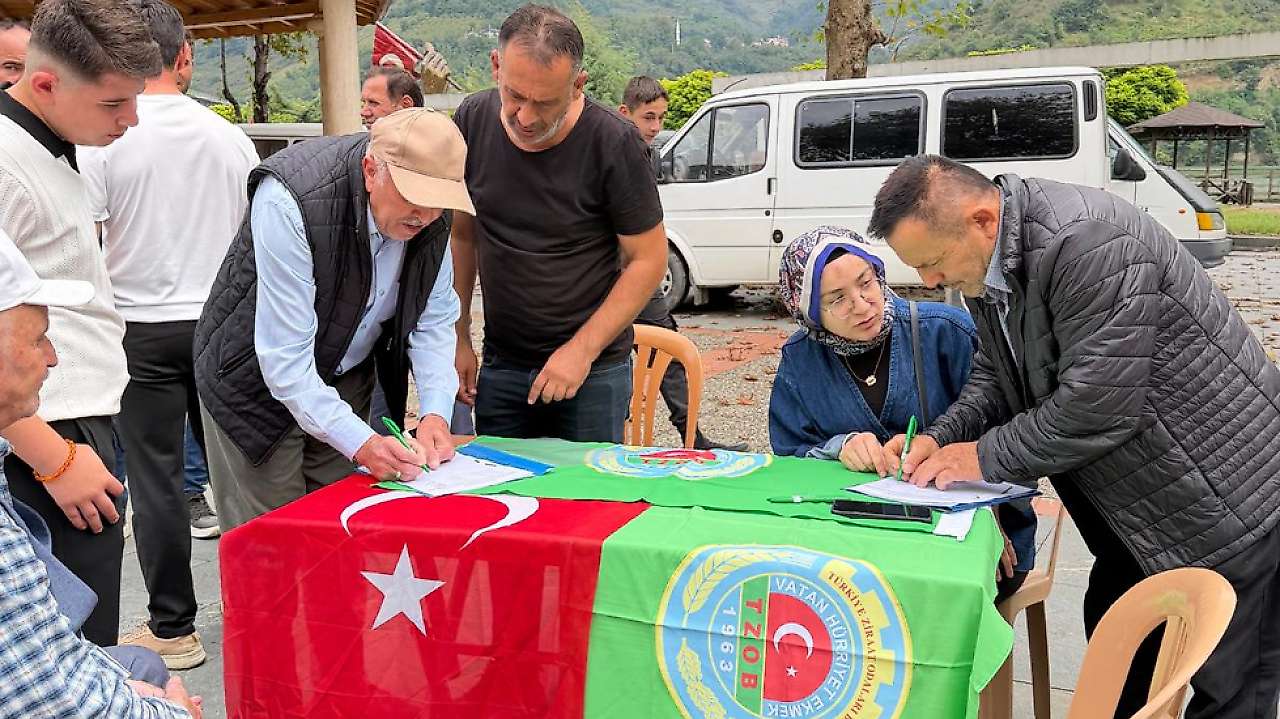 Ayvacık'ta Fındık İçin İmza Kampanyası