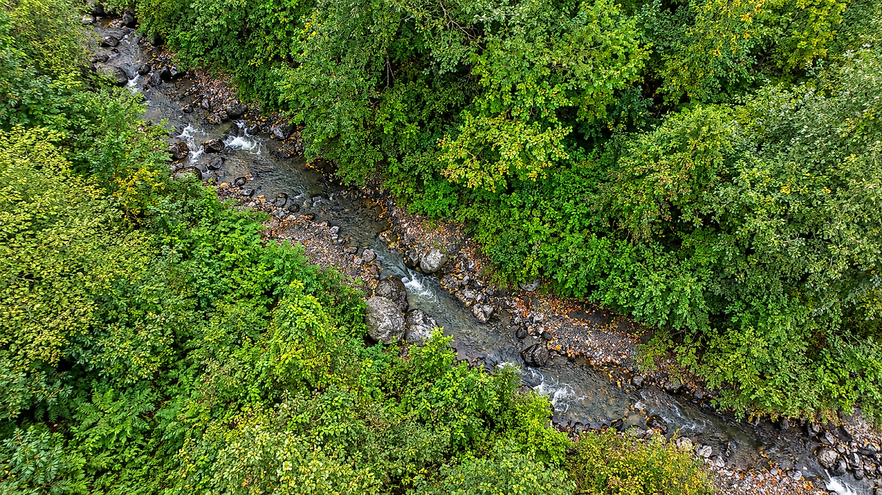 Adı Belgelerde, Hikâyesi Henüz Ormanın İçinde! Salıpazarı 'Gavur Deresi'