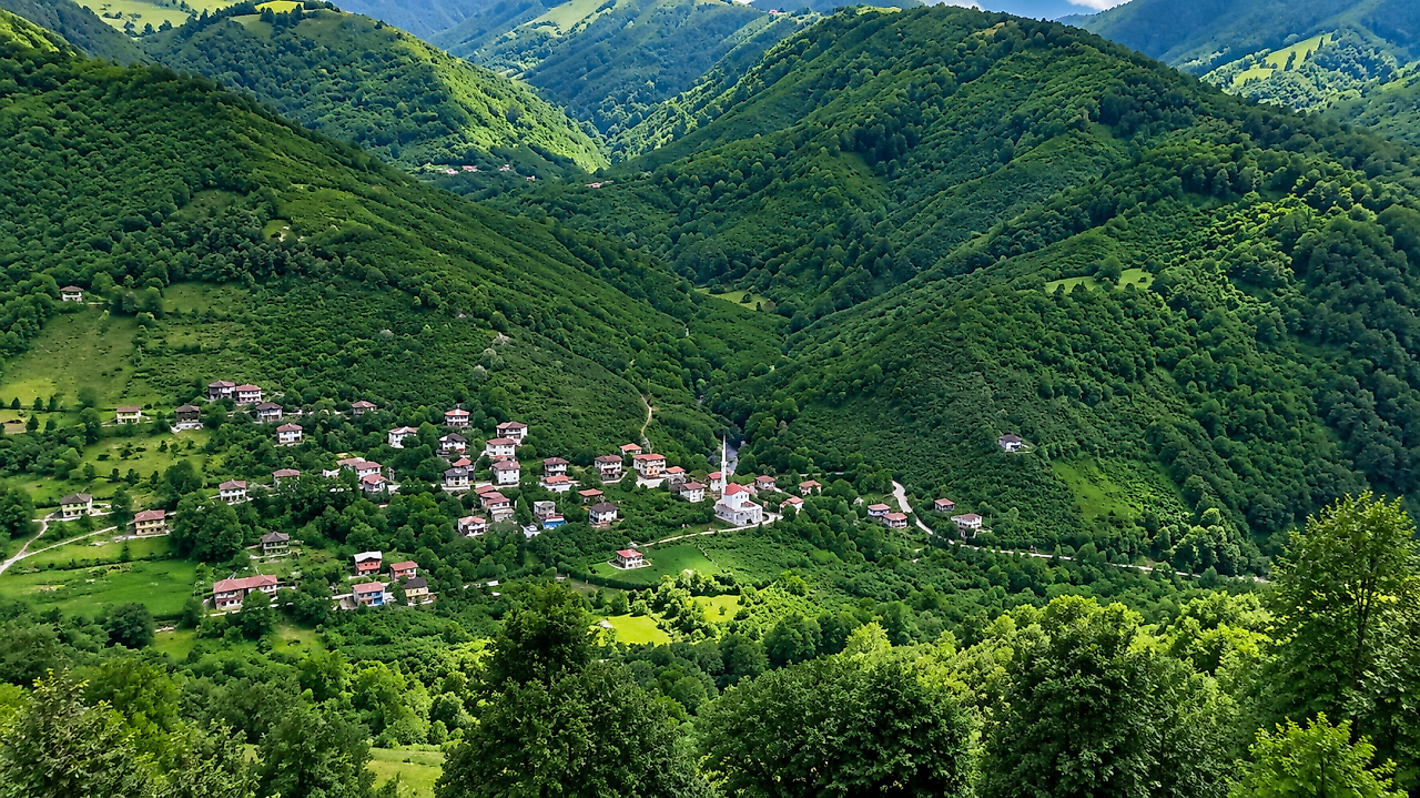Adı Belgelerde, Hikâyesi Henüz Ormanın İçinde! Salıpazarı 'Gavur Deresi'
