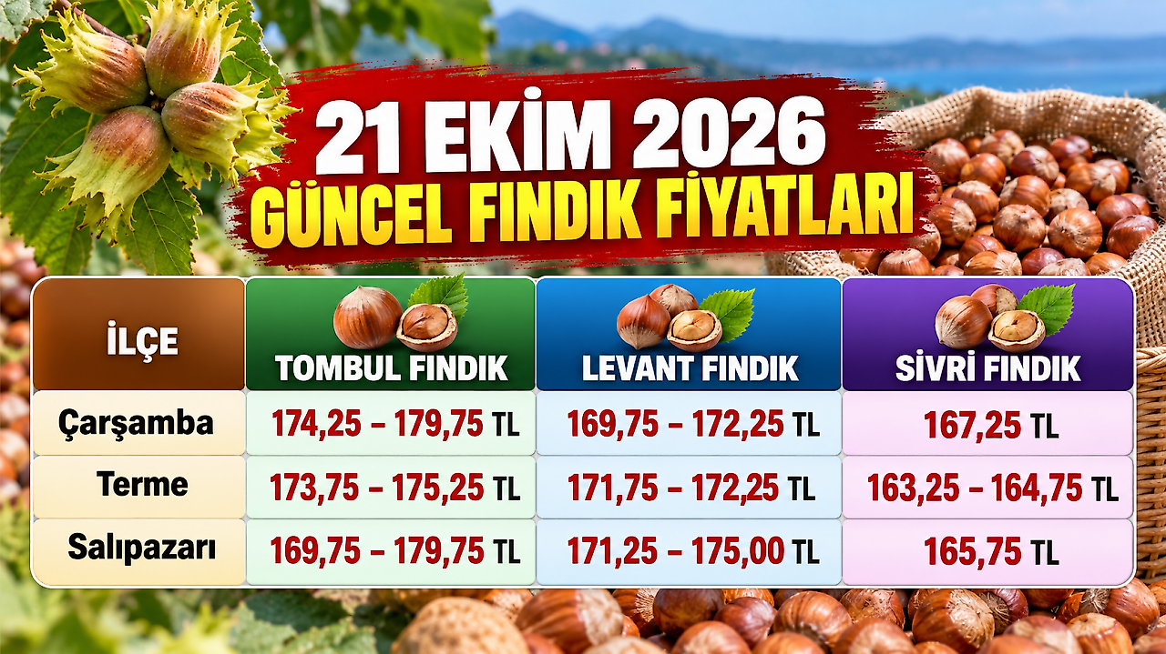 Samsun'da fındık fiyatları 21 Ekim: İlçe ilçe güncel liste