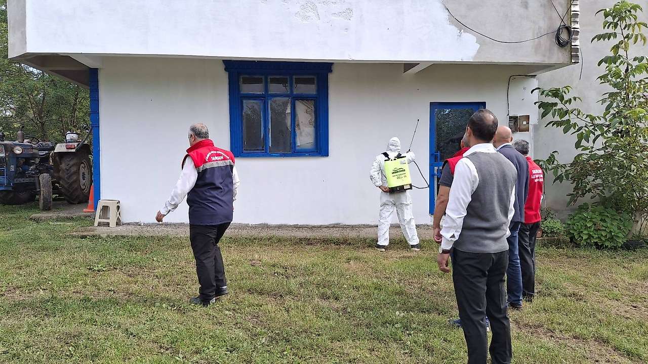 Salıpazarı'nda Kahverengi Kokarcaya Karşı Cezbet-Öldür Yöntemi