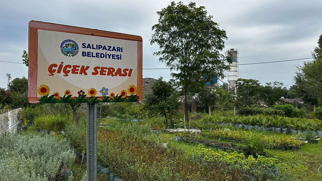 Başkan Karaca: Üretiyor, Dikiyor, Salıpazarı'nı Güzelleştiriyoruz