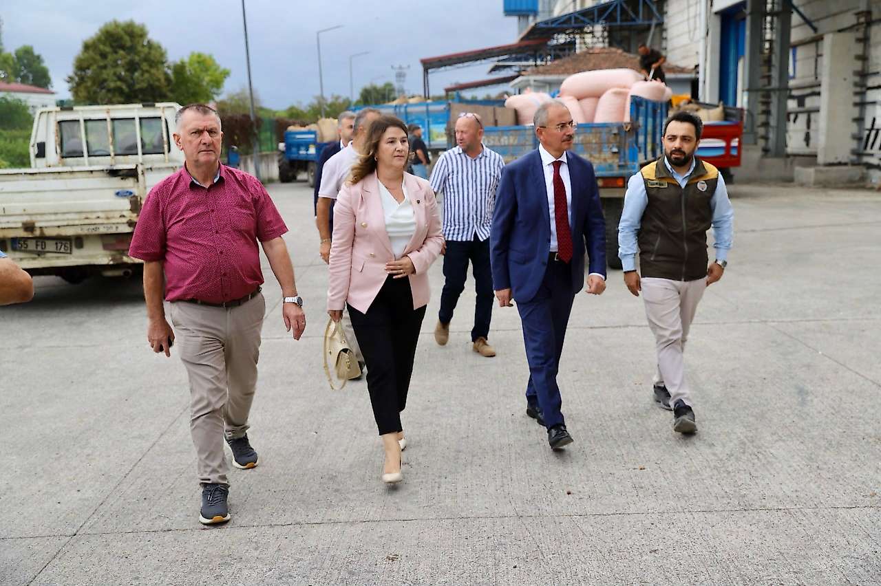 Çarşamba'da Fındık Alım Süreci Yerinde İncelendi