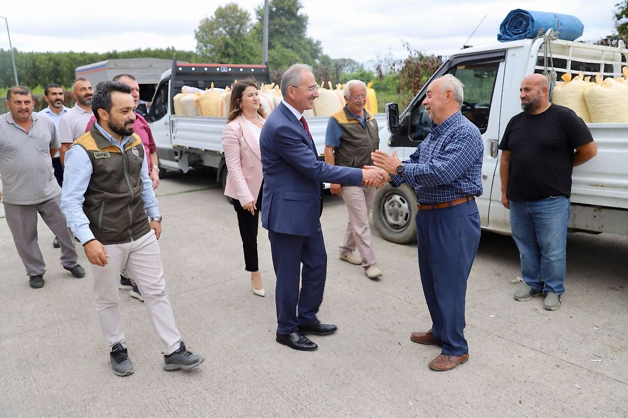 Çarşamba'da Fındık Alım Süreci Yerinde İncelendi