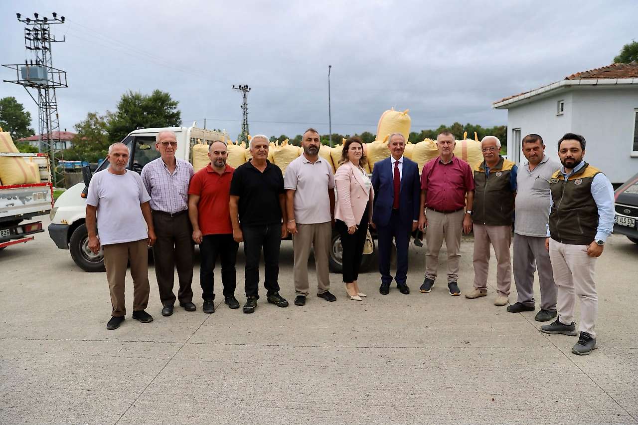 Çarşamba'da Fındık Alım Süreci Yerinde İncelendi