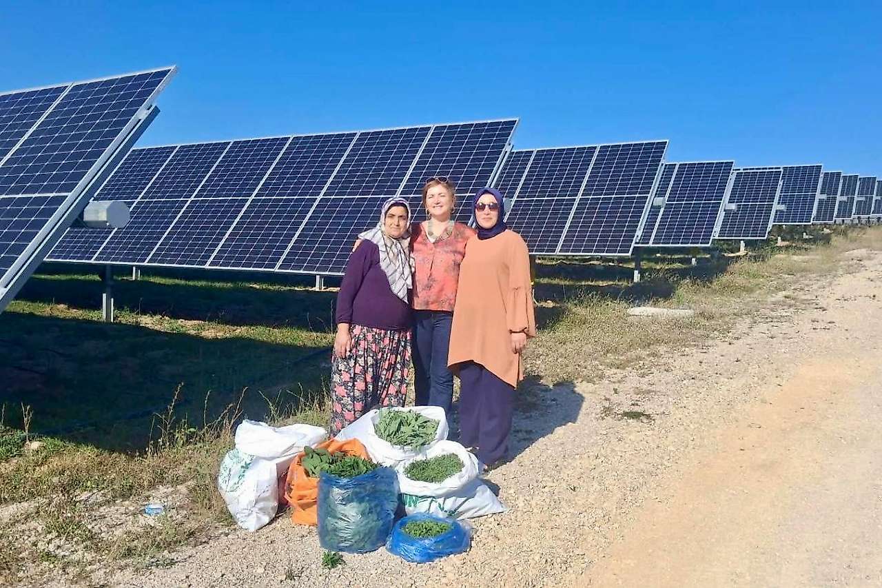 Tarımda Hasat Zamanı