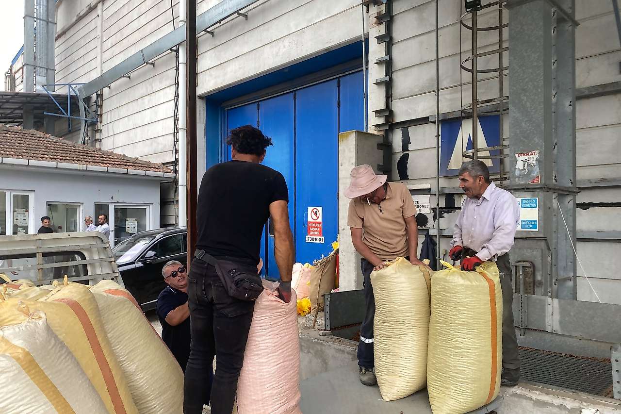 Çarşamba'da Fındık Alım Süreci Yerinde İncelendi