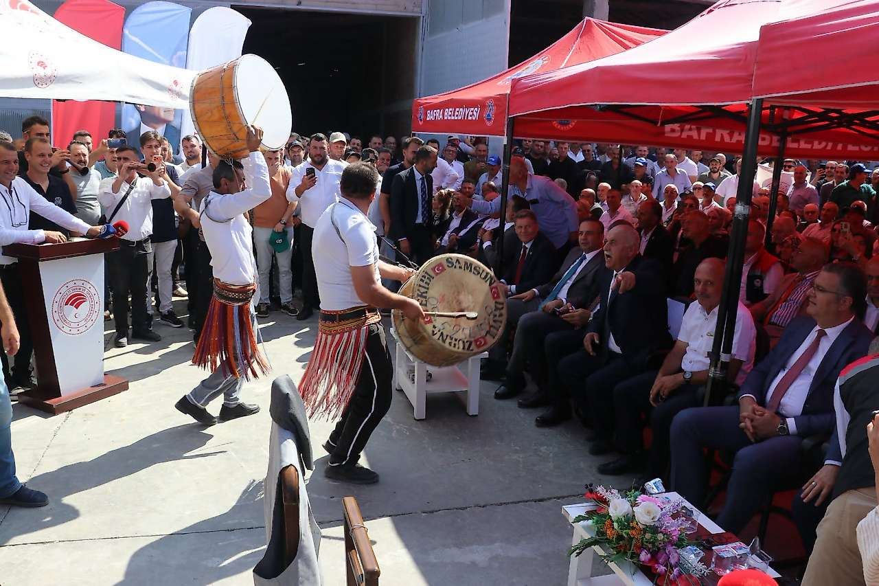 Bafra'da Türkiye'de Bir İlk: Çeltik Ağası 400 Bin Lirayla Seçildi