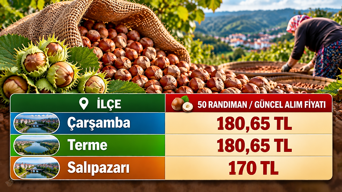 Salıpazarı'nda fındık 170 TL: Çarşamba ve Terme'de son durum