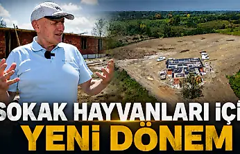 Sokak Hayvanları İçin Yeni Dönem