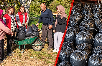 Çiftçilere Yeni Gelir Kapısı: Mantar Üretimi