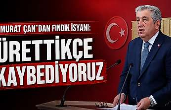 Murat Çan'dan Fındık İsyanı: Ürettikçe Kaybediyoruz