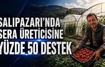 Salıpazarı'nda sera üreticilerine yüzde 50 destek