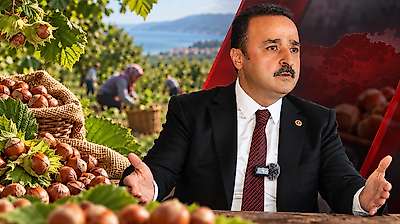 250 TL'nin altında fındık alanlara yaptırım talebi