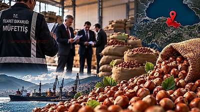 Bakanlık 4 Fındık Borsasına Müfettiş Gönderdi: Samsun Neden Yok?