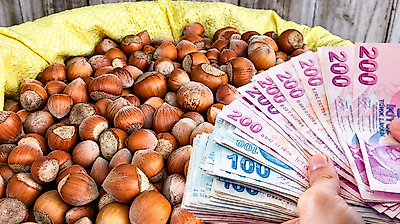 Fındık fiyatları 20 Ekim: Çarşamba, Terme ve Salıpazarı