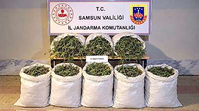 Jandarmanın Takibi 63 Kilo Esrarı Ortaya Çıkardı
