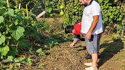 Salıpazarı'nda Salep Üretimi Nasıl Yapılıyor?