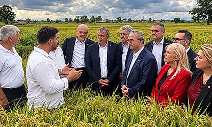 Bafra'da Çeltik Üreticisinin Maliyet İsyanı Yeni Parti'nin Gündeminde