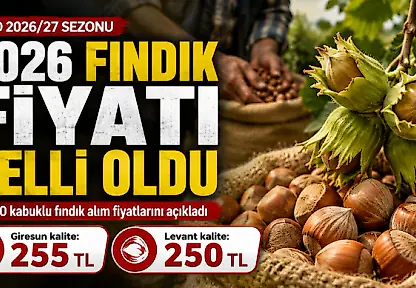 2026 Fındık Fiyatı Belli Oldu