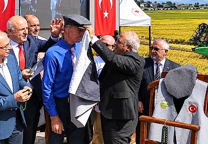 Bafra'da Türkiye'de Bir İlk: Çeltik Ağası 400 Bin Lirayla Seçildi