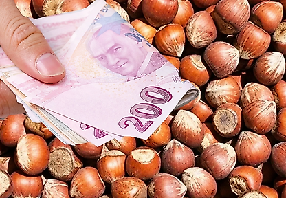 Çarşamba, Terme ve Salıpazarı'nda fındık kaç TL oldu?