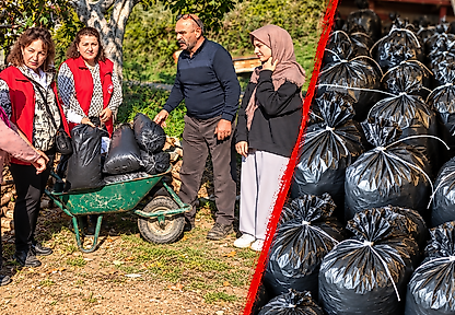 Çiftçilere Yeni Gelir Kapısı: Mantar Üretimi