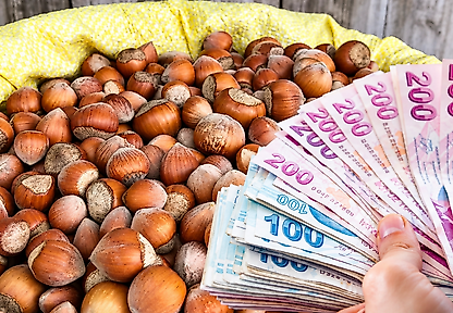 Fındık fiyatları 20 Ekim: Çarşamba, Terme ve Salıpazarı