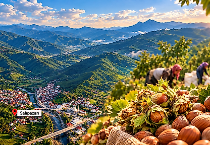 Fındık fiyatları neden artmıyor? Samsun'da bekleyiş sürüyor