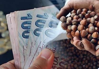 Fındık Haftaya Nasıl Başladı? İlçe İlçe Fiyatlar