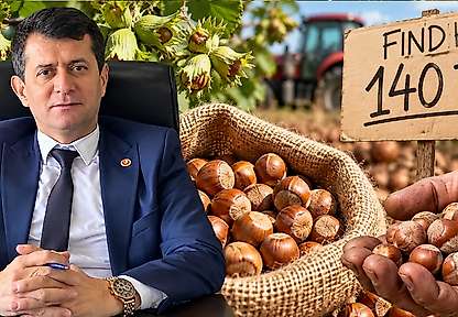 Fındıkta 140 TL İddiası: Terme Ziraat Odası'ndan Tepki