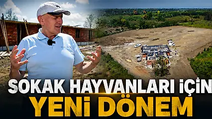 Sokak Hayvanları İçin Yeni Dönem