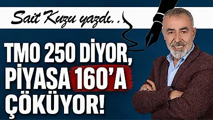 TMO 250 diyor, Piyasa 160'a Çöküyor!
