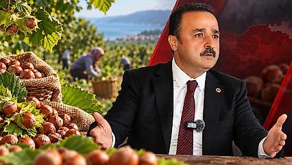 250 TL'nin altında fındık alanlara yaptırım talebi