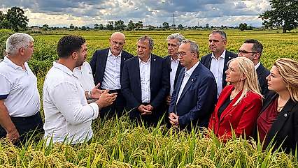 Bafra'da Çeltik Üreticisinin Maliyet İsyanı Yeni Parti'nin Gündeminde