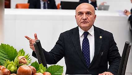 Erhan Usta'dan Fındık İçin TMO'ya Çağrı: Kota Kalksın, Ödeme Peşin Yapılsın