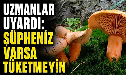 Uzmanlar Uyardı: Şüpheniz Varsa Tüketmeyin