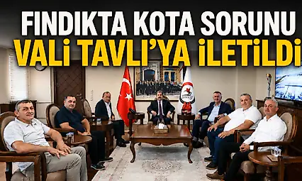 Fındıkta Kota Sorunu Vali Tavlı'ya İletildi
