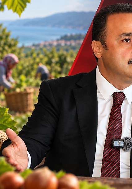 250 TL'nin altında fındık alanlara yaptırım talebi