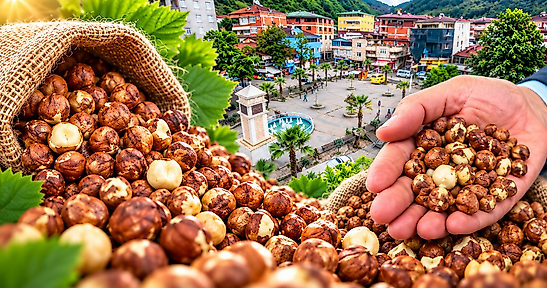 Çarşamba, Terme ve Salıpazarı Fındık Fiyatları 22 Ekim