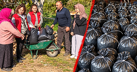 Çiftçilere Yeni Gelir Kapısı: Mantar Üretimi