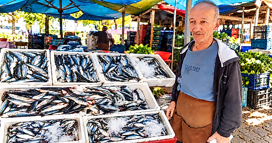 Salıpazarı Balık Pazarı'nda en uygun balık palamut oldu