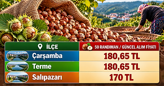 Salıpazarı'nda fındık 170 TL: Çarşamba ve Terme'de son durum